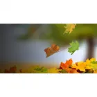 La imagen 2 de la Empresa A.P. & CÍA. ASESORES DE SEGUROS Servicio de administración de empresas en Barranquilla ATL