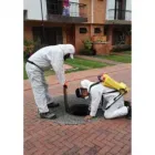 La imagen 2 de la Empresa ABBA FUMIGACIONES PEREIRA Servicio de control de animales en Pereira RIS