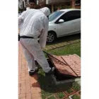 La imagen 4 de la Empresa ABBA FUMIGACIONES PEREIRA Servicio de control de animales en Pereira RIS