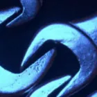 La imagen 2 de la Empresa ABC FITNESS Tienda de artículos deportivos en Medellín ANT