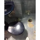 La imagen 6 de la Empresa ACUAFIL NORTE Tienda de artículos de fontanería en Bogotá CUN