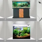La imagen 3 de la Empresa ACUARIO EL DORADO Viveros en Medellín ANT
