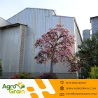 La imagen 8 de la Empresa AGROGRAIN S.A. Servicio agrícola en Guadalajara De Buga VAC