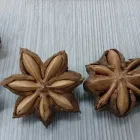 La imagen 1 de la Empresa AGROQUINOA Agricultura y ganadería en Cali VAC