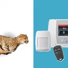 La imagen 4 de la Empresa ALARMAR LTDA Tienda de productos electrónicos en Medellín ANT