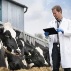 La imagen 1 de la Empresa ALMACÉN EL VAQUERO Proveedor de abono en Armenia QUI