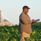 La imagen 2 de la Empresa ALMACÉN EL VAQUERO Proveedor de abono en Armenia QUI