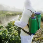 La imagen 3 de la Empresa ALMACÉN EL VAQUERO Proveedor de abono en Armenia QUI