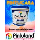 La imagen 1 de la Empresa ALMACÉN PINTUCASA Tienda de pinturas en Cartago VAC