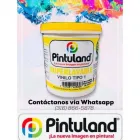 La imagen 4 de la Empresa ALMACÉN PINTUCASA Tienda de pinturas en Cartago VAC