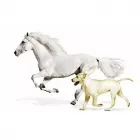 La imagen 1 de la Empresa ALMACÉN VETERINARIA LAS HORMIGAS Veterinario en Cartago VAC