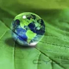 La imagen 8 de la Empresa ANÁLISIS AMBIENTAL S.A.S. Tienda de comestibles en Cali VAC