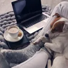 La imagen 2 de la Empresa ANIMALEJOS Veterinario en Medellín ANT