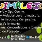 La imagen 4 de la Empresa ANIMALEJOS Veterinario en Medellín ANT
