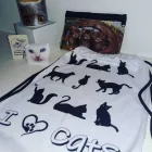 La imagen 3 de la Empresa APAPACHOS BOUTIQUE Tienda de regalos en Cali VAC