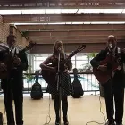 La imagen 1 de la Empresa ARENAS HERMANOS TRIO CUMANDAY Orquesta en Manizales CAL