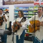 La imagen 2 de la Empresa ARENAS HERMANOS TRIO CUMANDAY Orquesta en Manizales CAL