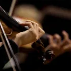 La imagen 5 de la Empresa ARMONÍA MUSICAL Tienda de instrumentos musicales en Medellín ANT