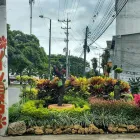 La imagen 6 de la Empresa ARTESANÍAS & VIVERO Viveros en Ibagué TOL