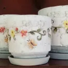 La imagen 16 de la Empresa ARTESANÍAS & VIVERO Viveros en Ibagué TOL