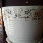 La imagen 18 de la Empresa ARTESANÍAS & VIVERO Viveros en Ibagué TOL