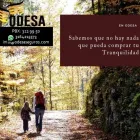 La imagen 3 de la Empresa ASESORES DE SEGUROS ODESA LTDA Corredor de seguros en Medellín ANT