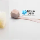 La imagen 1 de la Empresa BANCO DE TEJIDOS HUMANOS TISSUE BANK Pruebas y controles médicos en Medellín ANT