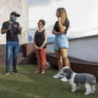 La imagen 2 de la Empresa BARKING SCHOOL DOG - CENTRO DE EDUCACIÓN CANINO Peluquería de mascotas en Medellín ANT