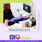 La imagen 1 de la Empresa BIOVETERINARIOS CLÍNICA ESPECIALIZADA Veterinario en Pereira RIS