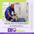 La imagen 2 de la Empresa BIOVETERINARIOS CLÍNICA ESPECIALIZADA Veterinario en Pereira RIS