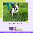 La imagen 3 de la Empresa BIOVETERINARIOS CLÍNICA ESPECIALIZADA Veterinario en Pereira RIS