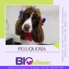 La imagen 4 de la Empresa BIOVETERINARIOS CLÍNICA ESPECIALIZADA Veterinario en Pereira RIS