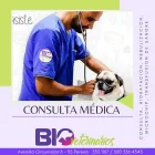 La imagen 8 de la Empresa BIOVETERINARIOS CLÍNICA ESPECIALIZADA Veterinario en Pereira RIS