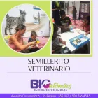 La imagen 9 de la Empresa BIOVETERINARIOS CLÍNICA ESPECIALIZADA Veterinario en Pereira RIS