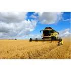 La imagen 2 de la Empresa CASATALLER DE MECÁNICA AGROINDUSTRIAL DARIO ORREGO Tienda de repuestos para automóviles en Pereira RIS