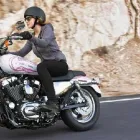 La imagen 5 de la Empresa CASCOS LAR Proveedor de equipos de seguridad en Bogotá CUN