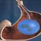 La imagen 1 de la Empresa CASTAÑEDA CHÁVEZ LUIS JAVIER Laboratorio de análisis clínicos en Pereira RIS