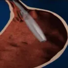 La imagen 2 de la Empresa CASTAÑEDA CHÁVEZ LUIS JAVIER Laboratorio de análisis clínicos en Pereira RIS