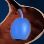 La imagen 3 de la Empresa CASTAÑEDA CHÁVEZ LUIS JAVIER Laboratorio de análisis clínicos en Pereira RIS