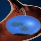 La imagen 4 de la Empresa CASTAÑEDA CHÁVEZ LUIS JAVIER Laboratorio de análisis clínicos en Pereira RIS