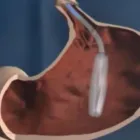 La imagen 5 de la Empresa CASTAÑEDA CHÁVEZ LUIS JAVIER Laboratorio de análisis clínicos en Pereira RIS