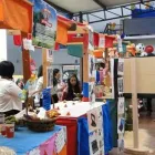 La imagen 5 de la Empresa CEMPED Servicios de selección en Medellín ANT