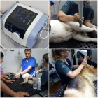 La imagen 3 de la Empresa CENTRO VETERINARIO DE OCCIDENTE Servicio de veterinaria de emergencia en Cali VAC