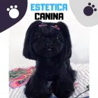 La imagen 1 de la Empresa CENTRO VETERINARIO POMONA Veterinario en Popayán CAU