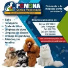 La imagen 2 de la Empresa CENTRO VETERINARIO POMONA Veterinario en Popayán CAU