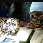 La imagen 3 de la Empresa CENTRO VETERINARIO POMONA Veterinario en Popayán CAU