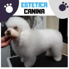 La imagen 4 de la Empresa CENTRO VETERINARIO POMONA Veterinario en Popayán CAU