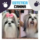 La imagen 5 de la Empresa CENTRO VETERINARIO POMONA Veterinario en Popayán CAU