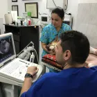 La imagen 4 de la Empresa CENTRO VETERINARIO VILLACOLOMBIA Veterinario en Cali VAC
