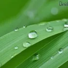 La imagen 3 de la Empresa CHRISTINE VALMY COLOMBIA ACADEMIA MARGOTA CV en Cali VAC